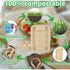 100x Disposable Taco Holders for Party, Premium Paper Taco Plates (Pack Of 100)