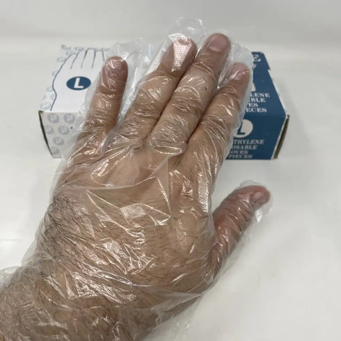 2000x Large Polyethylene Disposable Gloves, Powder-Free, Latex Free 4x 500ct