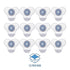 Boardwalk SANI Urinal Screen NUS Green Apple w/ Non-Para Cleaner Block (12/Box)