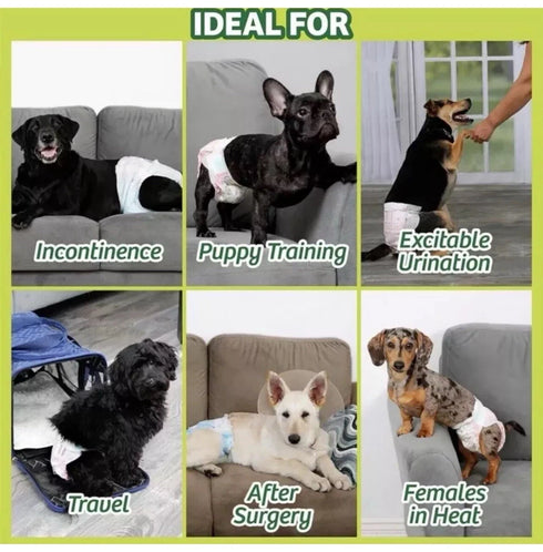 Hartz Disposable Dog Diapers Medium 10-26 lbs Waist 15-22" Pugs, Shiba Inu 32ct