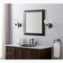 Kohler Lighting 22546-SC01-BZL Damask 11" Tall 1 Light Water Globe